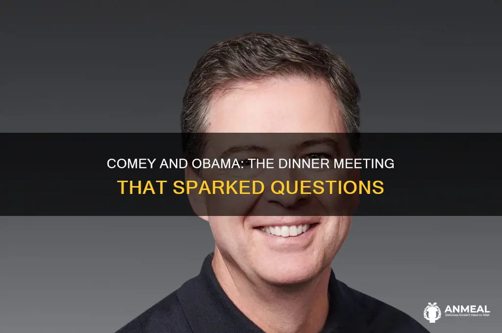 did comey have dinner with obama