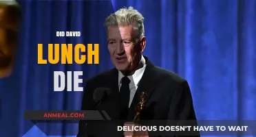 Unraveling the Mystery: What Happened to David Lunch?