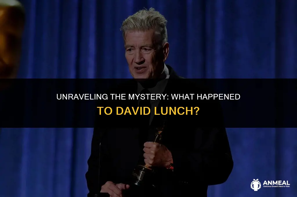 did david lunch die