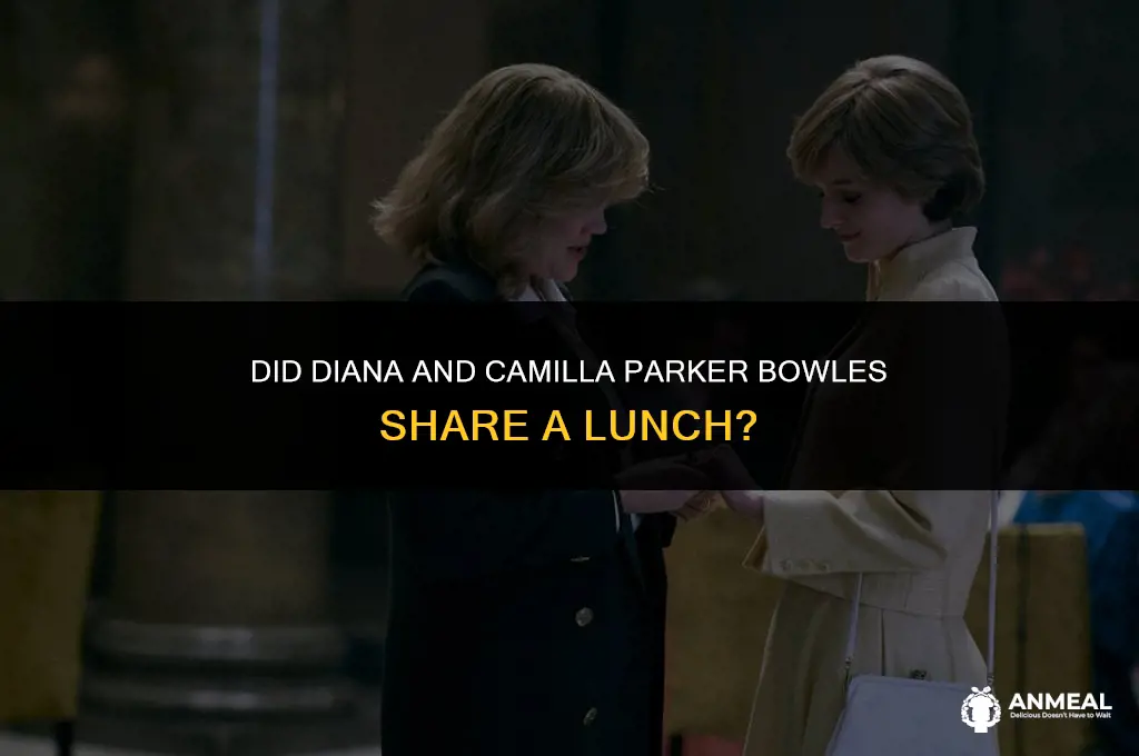 did diana go to lunch with camilla parker bowles