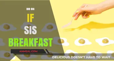 Did Dig If Sis Breakfast: Unraveling the Mystery Behind the Phrase