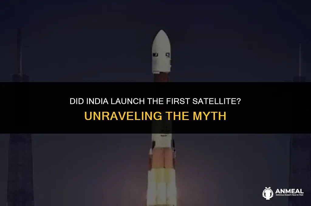 did gnana lunch the fisrt satellite
