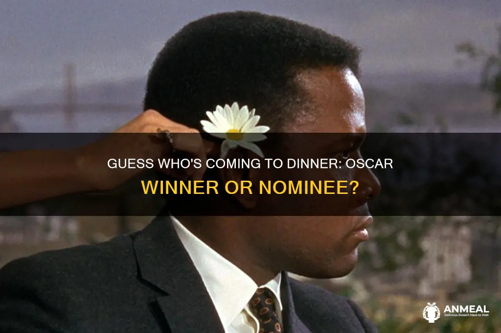 did guess who coming to dinner won an oscar