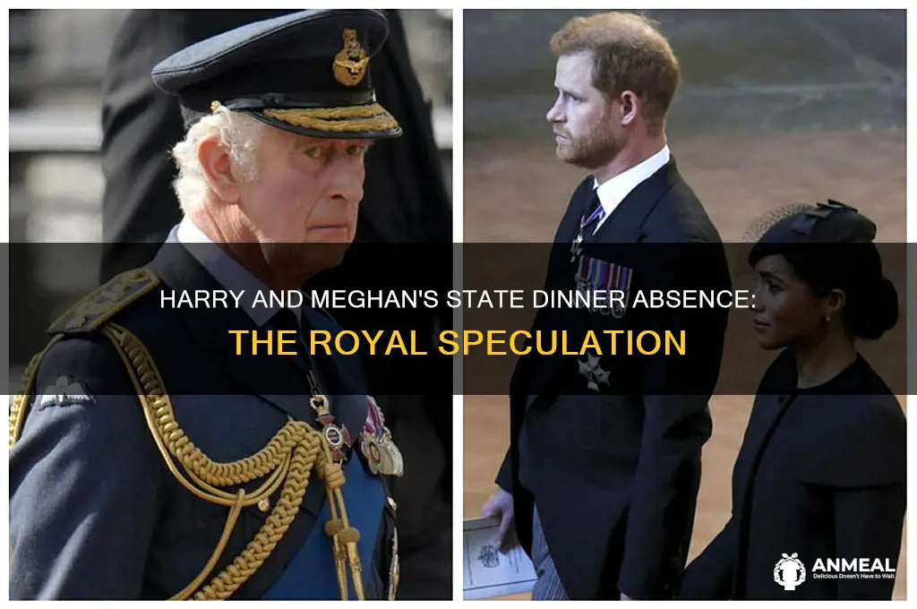 did harry and meghan attend state dinner