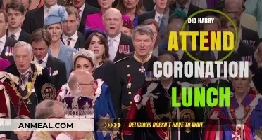 Harry's Coronation Lunch Attendance: The Royal Scoop