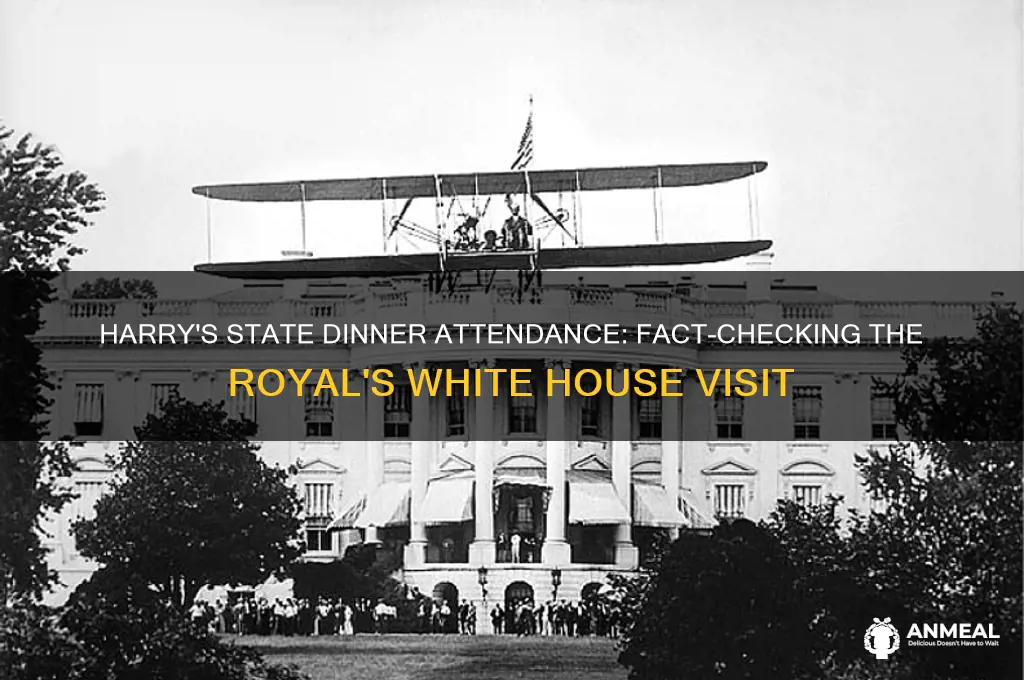 did harry attend state dinner