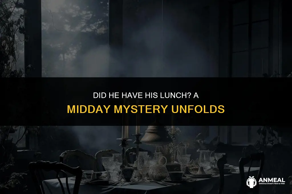did he had his lunch