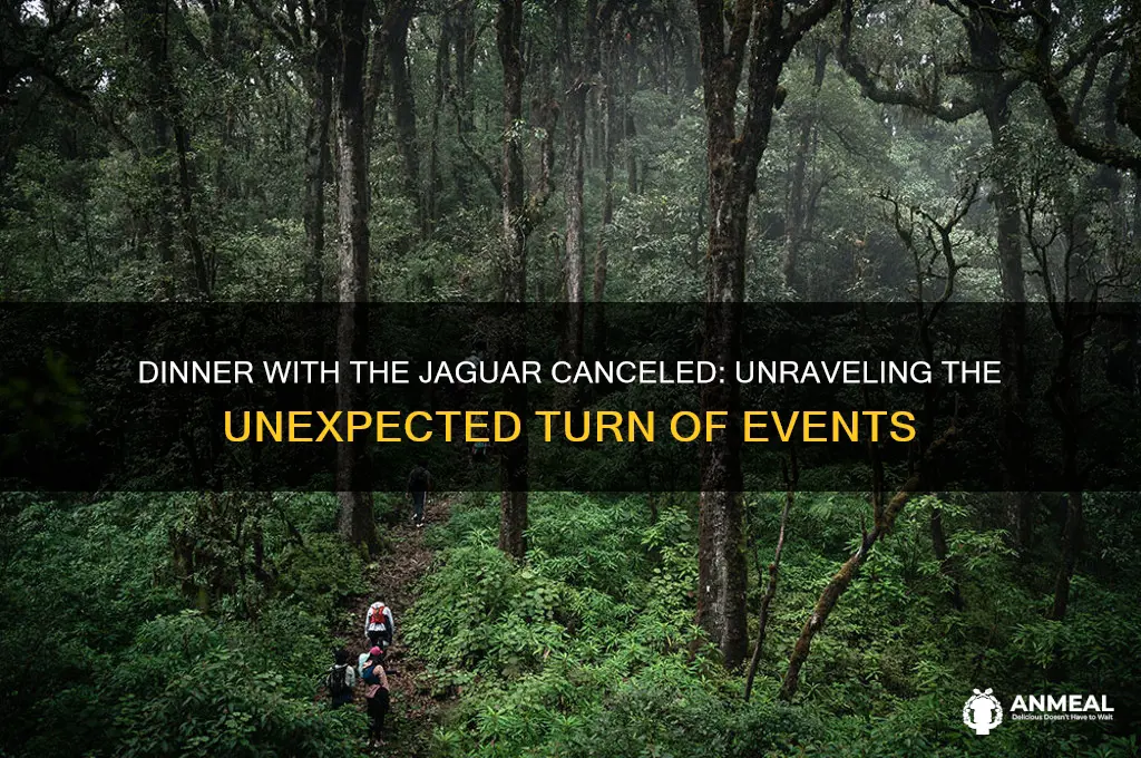 did he say dinner with the jaguar is off