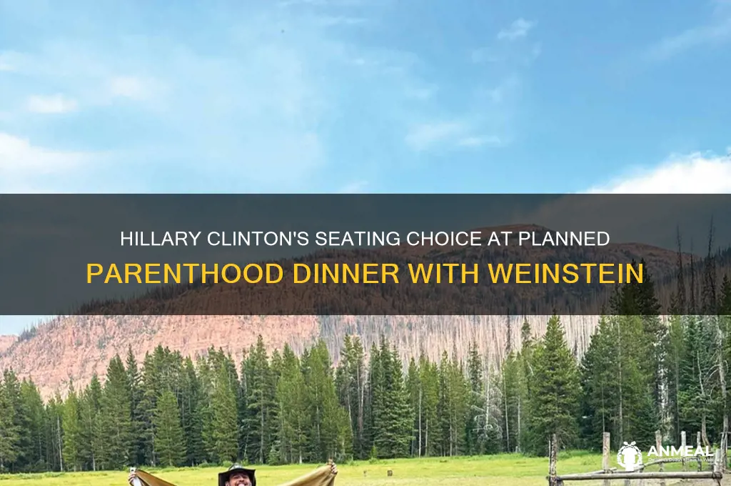 did hillary sit with weinstein at planned parenthood dinner