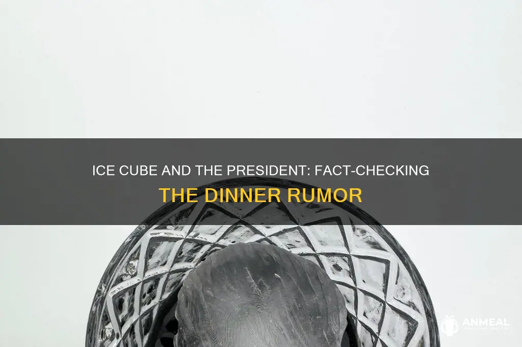 did ice cube ever have dinner with the president