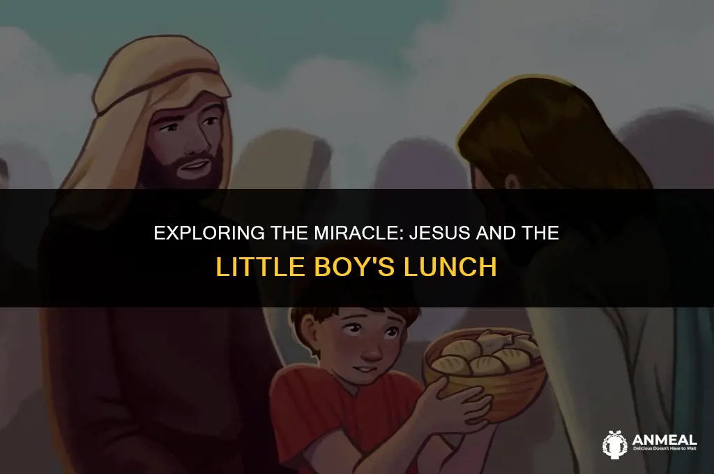 did jesus touch the little boys lunch