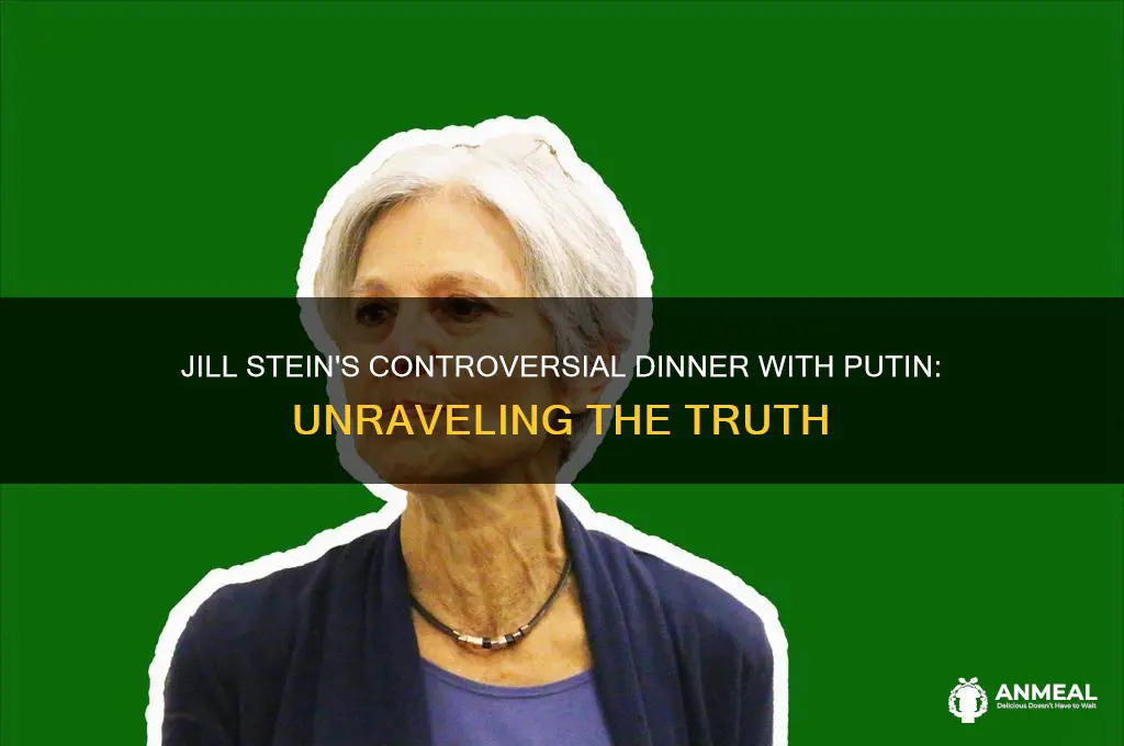 did jill stein have dinner with putin