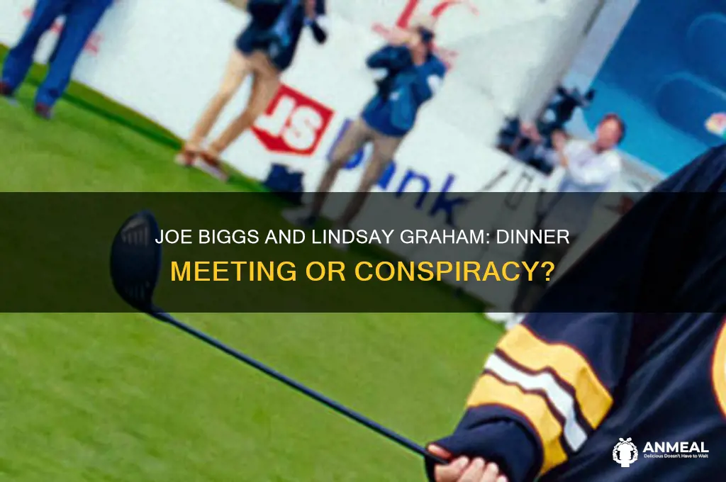 did joe biggs have dinner with lindsay graham