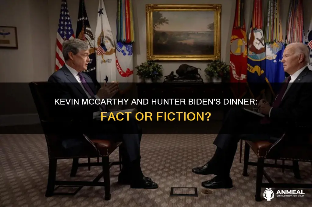 did kevin mccarthy have dinner with hunter biden