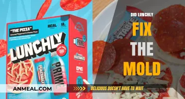 Lunchly's Mold Fix: A Comprehensive Review and Analysis