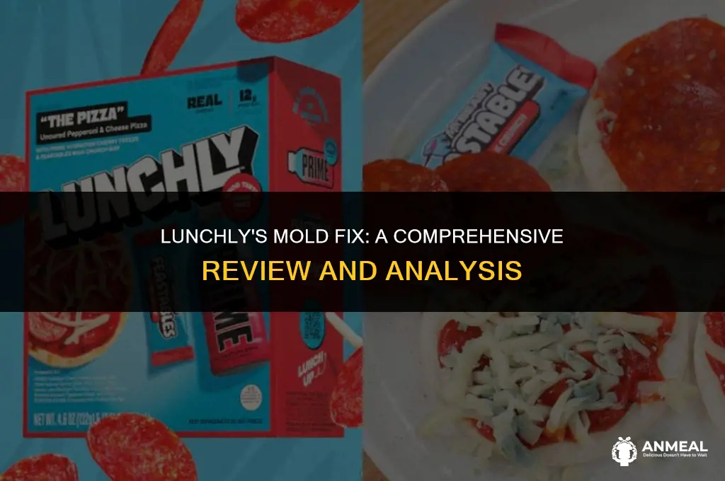 did lunchly fix the mold