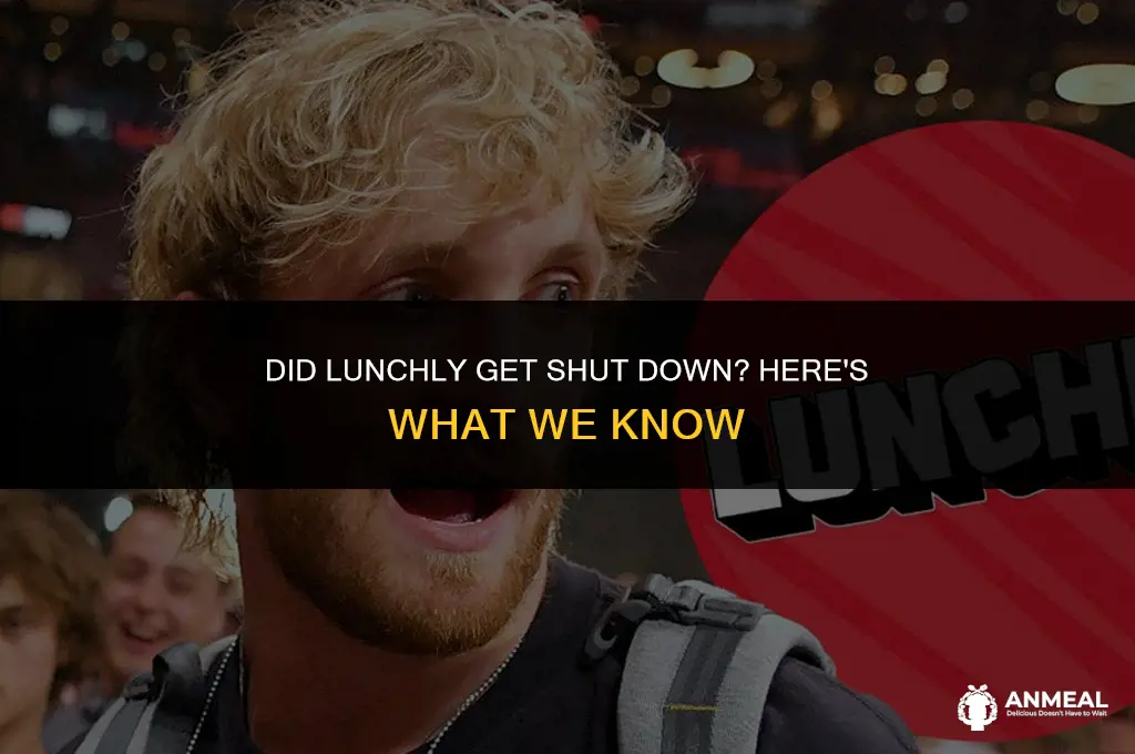 did lunchly get shut down