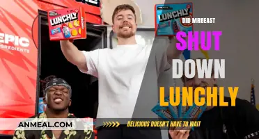 Did MrBeast Shut Down Lunchly? The Truth Behind the Rumors