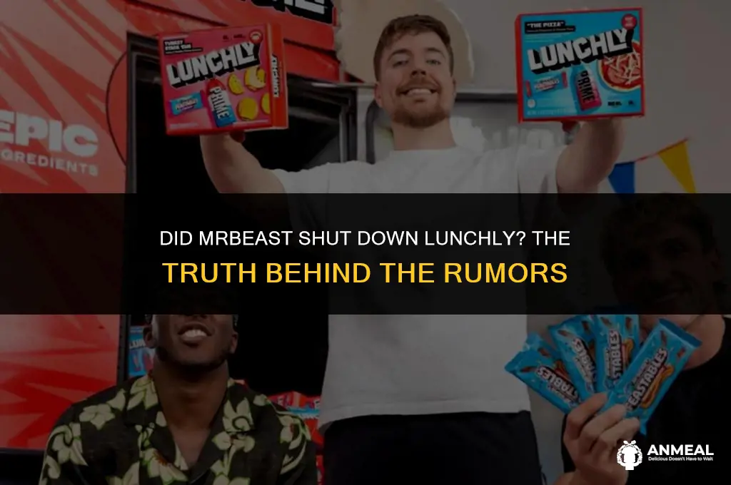 did mrbeast shut down lunchly