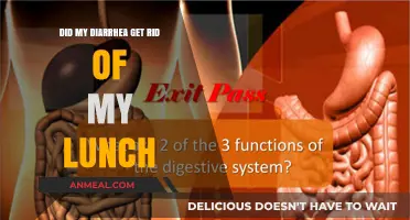 Digestive Dilemmas: When Lunch Takes an Unexpected Exit