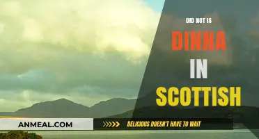 Did Not" vs. "Dinna": Unraveling Scottish Language Nuances and Usag