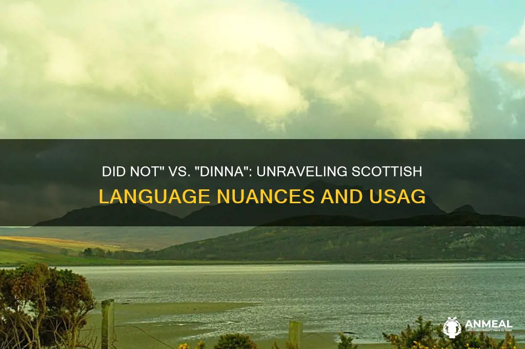 did not is dinna in scottish