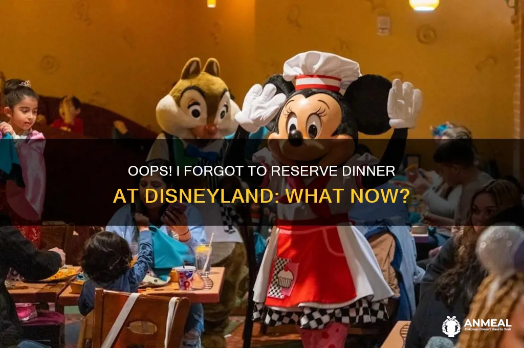 did not reserve dinner on disneyland