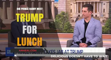 Royal Rendezvous: Prince Harry's Alleged Lunch with Trump Sparks Curiosity
