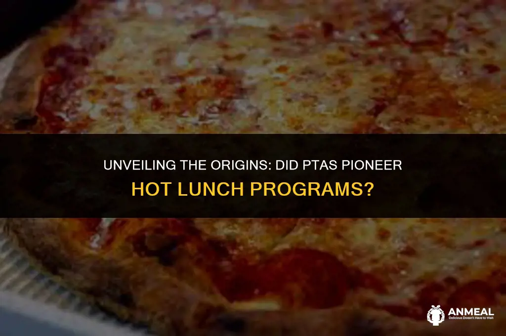 did ptas start the first hot lunch programs