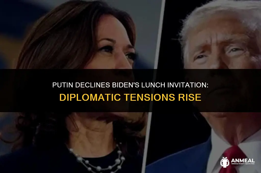 did putin decline lunch with biden