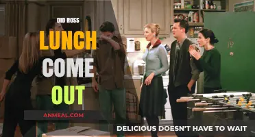 Ross's Lunch Scene: Behind the Laughter and Lessons Learned