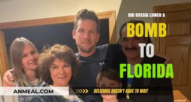 Florida Under Siege: The Truth Behind Russia's Alleged Attack