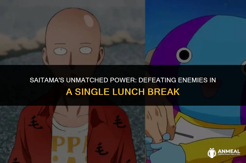 did saitama defeat all of his enimes in one lunch