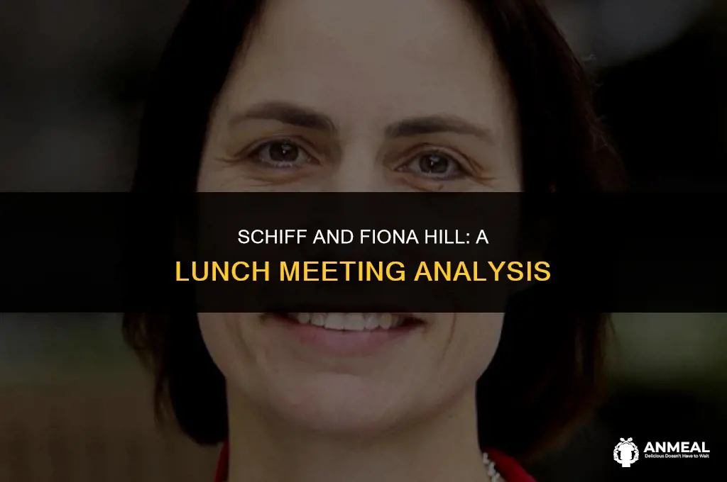 did schiff have lunch with fiona hill