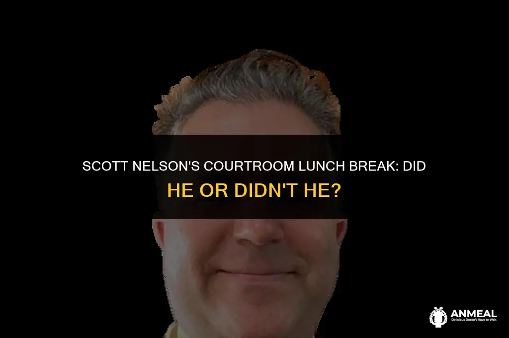 did scott nelson get lunch during court