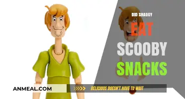 The Mystery Unveiled: Shaggy's Scooby Snack Obsession Explored