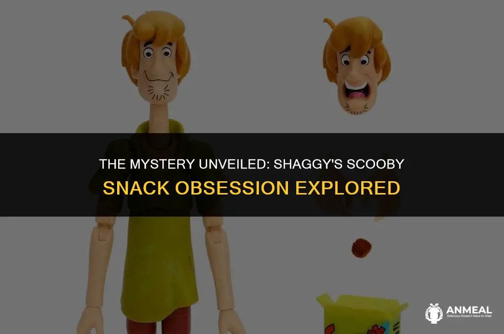 did shaggy eat scooby snacks