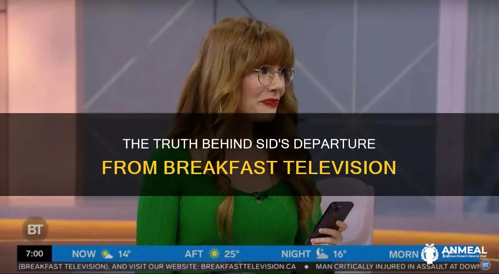 did sid get fired from breakfast television