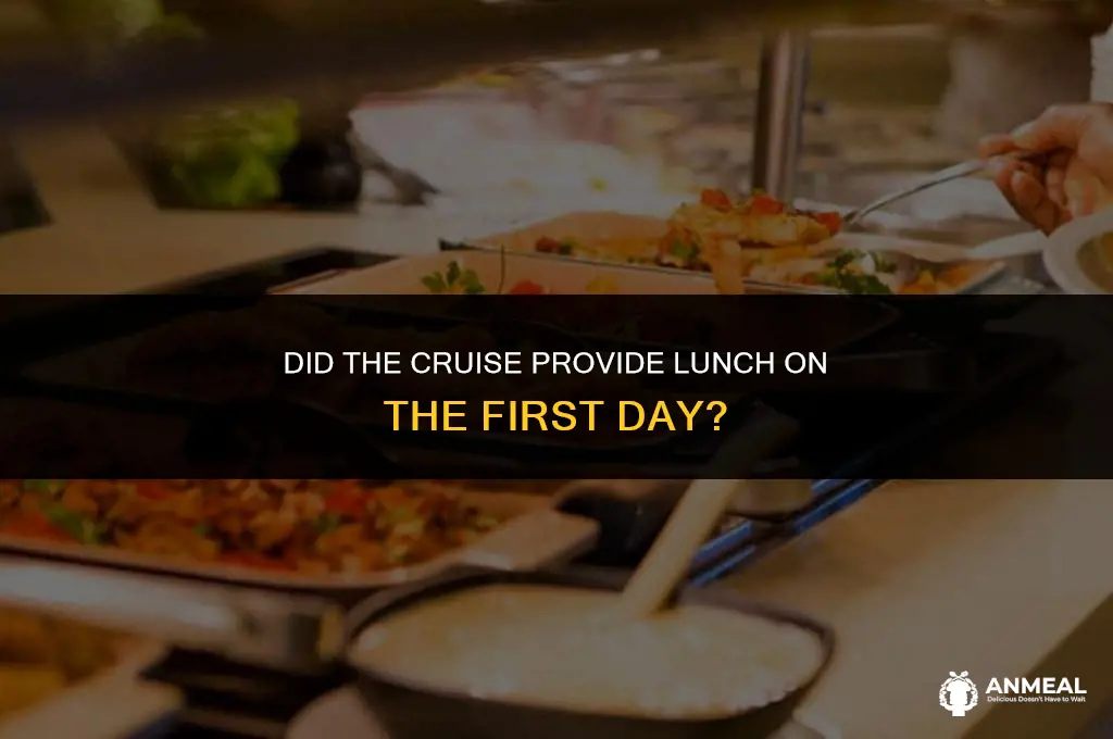 did the cruise provide lunch on the first day hal