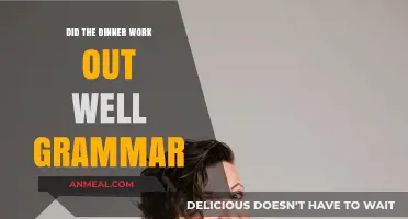 Mastering Grammar: Did the Dinner Work Out Well Explained