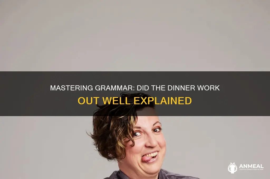 did the dinner work out well grammar