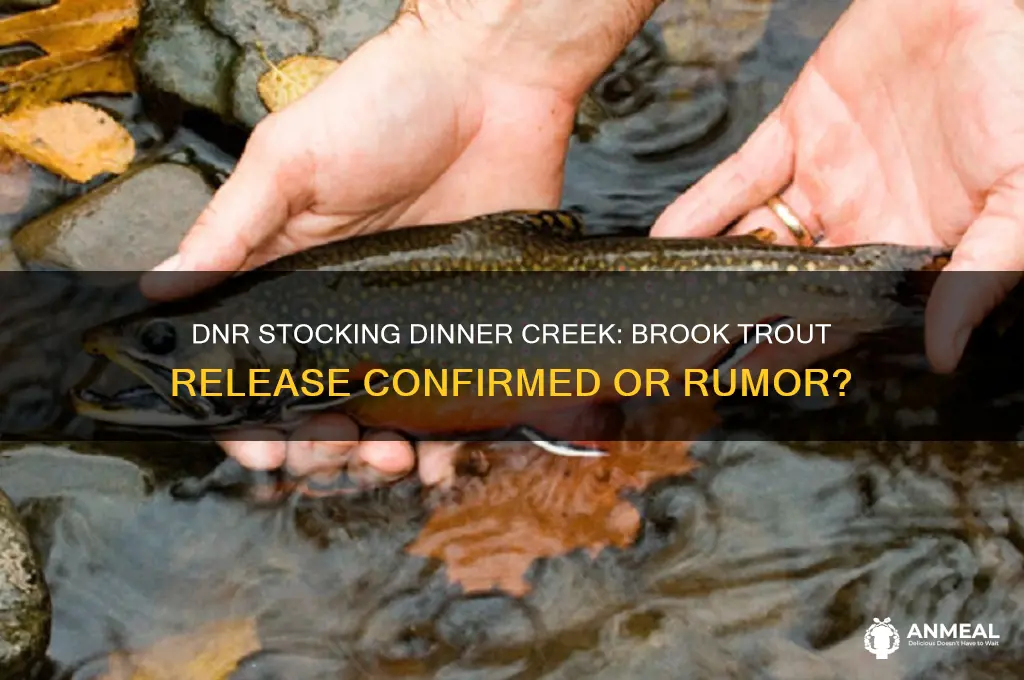 did the dnr stock dinner creek with brook trout