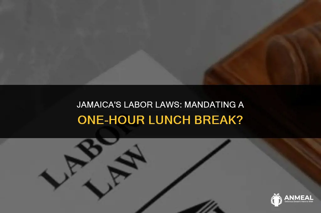 did the law of jamaica said one hour lunch