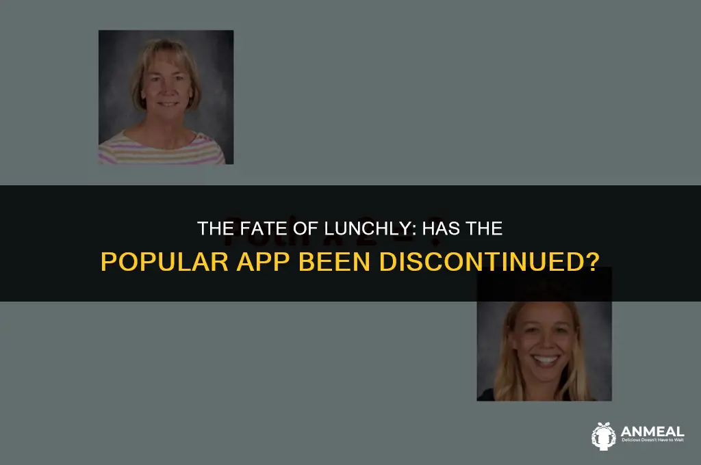 did they discontinue lunchly