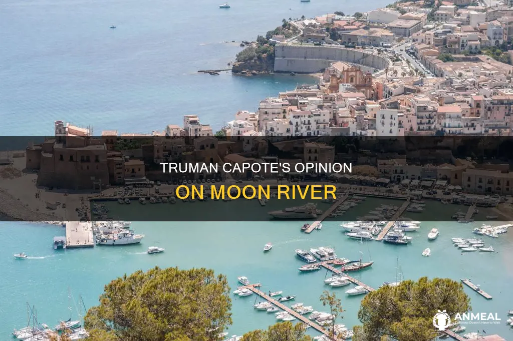 did truman capote like moon river in breakfast at tiffany