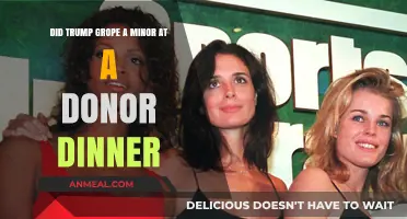 Trump Accused of Groping Minor at Donor Dinner: Fact or Fiction?