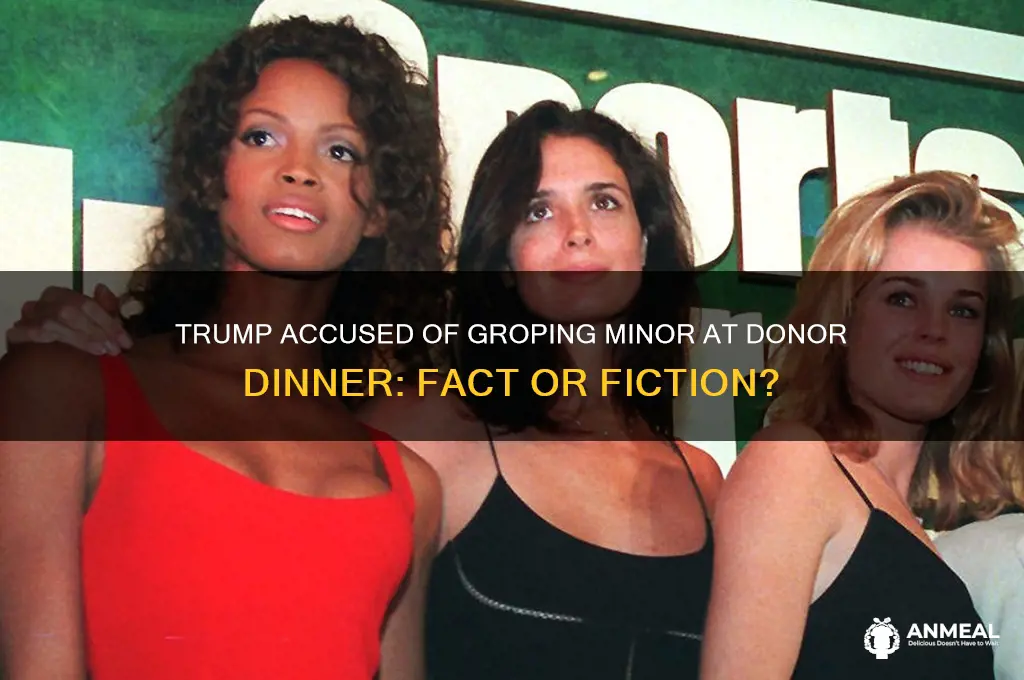 did trump grope a minor at a donor dinner
