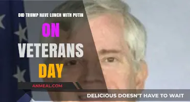 Trump-Putin Veterans Day Meeting: Lunch or Diplomacy?