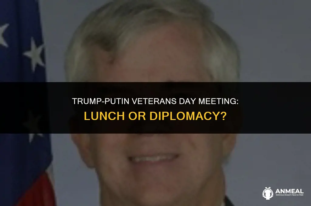 did trump have lunch with putin on veterans day