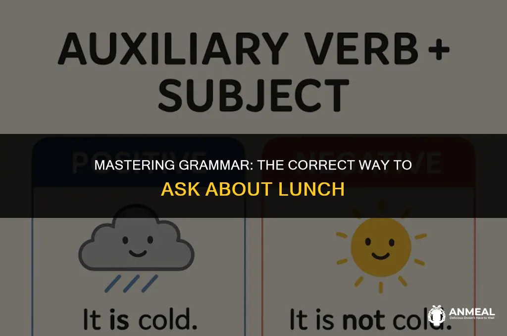 did u had lunch correct sentence